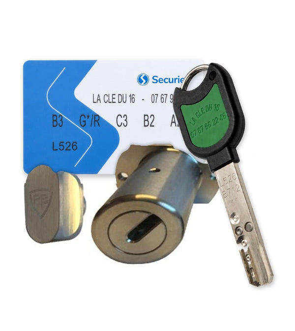 Cylindre compatible Picard Vigie 3 points RB-Locks Locxis avec carte de propriété et clé profil La Clé du 16