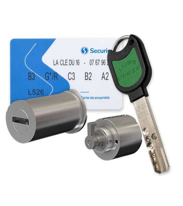 Jeu de cylindres compatible Pollux 3 points RB-Locks Locxis avec carte de propriété et clé profil La Clé du 16